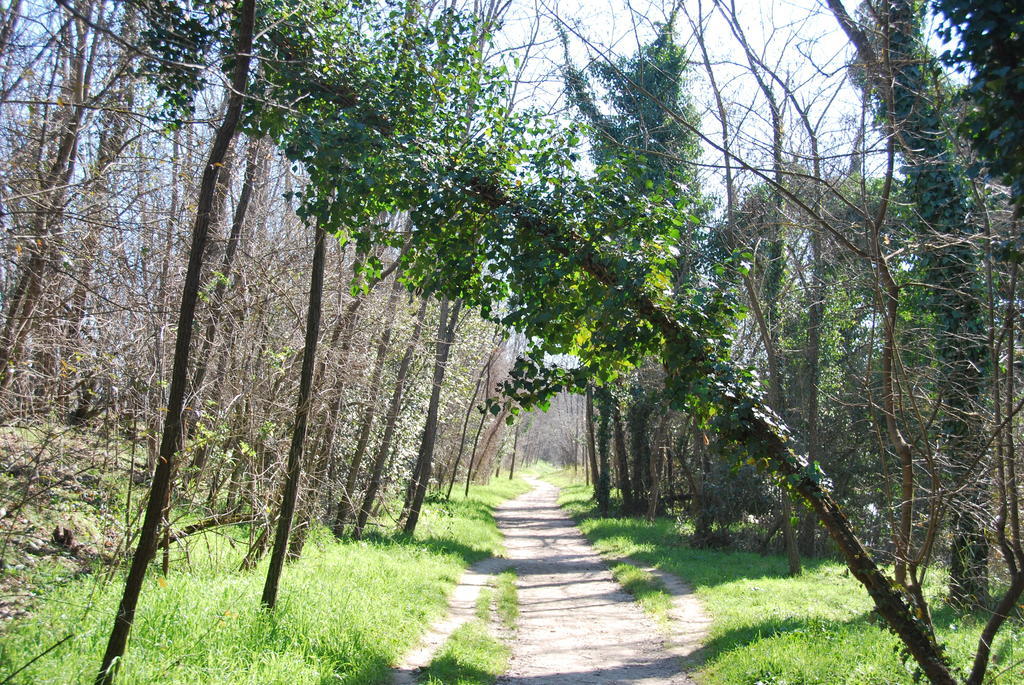 皮列克索威艾勒戴住宿加早餐旅馆 Ponte Valleceppi 外观 照片